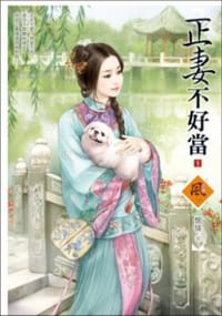 正妻不好當 1 - 懷愫