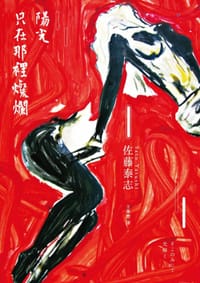陽光只在那裡燦爛 - 佐藤泰志