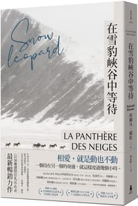 在雪豹峽谷中等待