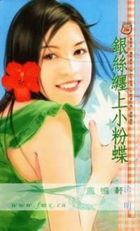 书籍 银丝缠上小粉蝶的封面