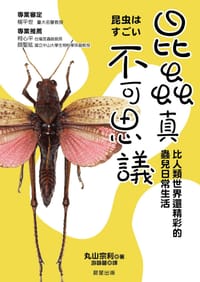 昆蟲真不可思議 - [日] 丸山宗利