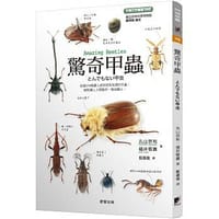 驚奇甲蟲