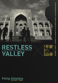 书籍 不安的山谷的封面