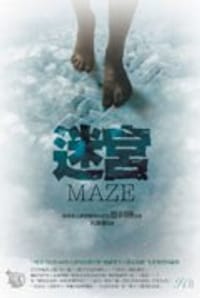 书籍 迷宮MAZE的封面
