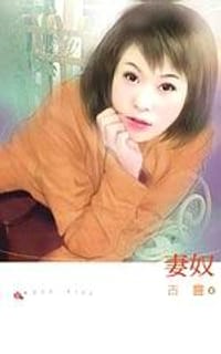 书籍 妻奴的封面