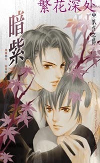 暗紫 - 风维