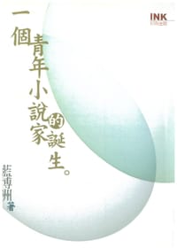 书籍 一個青年小說家的誕生的封面