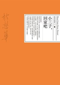 书籍 小三子，回家吧的封面