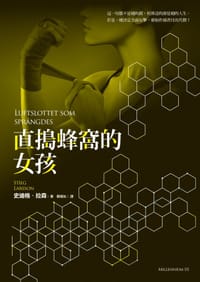 直搗蜂窩的女孩 - 史迪格.拉森
