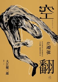 书籍 空翻的封面