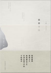 书籍 白日事故的封面