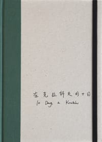 在克拉科夫的十日 - 杨圆圆