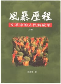 书籍 Through the Storm的封面