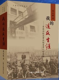 我的造反生涯