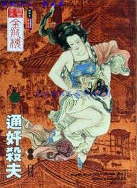 书籍 通奸杀夫的封面