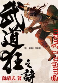 书籍 武道狂之詩的封面