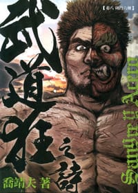 书籍 武道狂之诗 卷八的封面