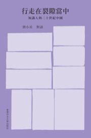 行走在裂隙当中