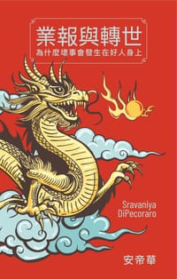 书籍 業報與轉世的封面