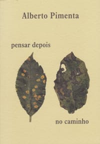 Pensar depois no caminho