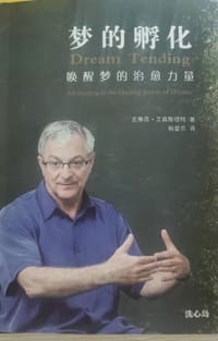 书籍 梦的孵化的封面