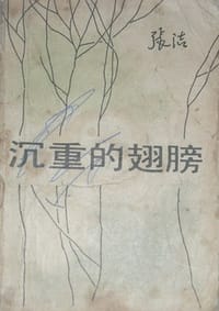 沉重的翅膀