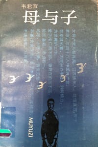 书籍 母与子的封面