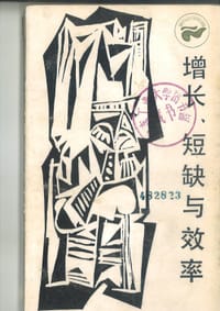 增长、短缺与效率
